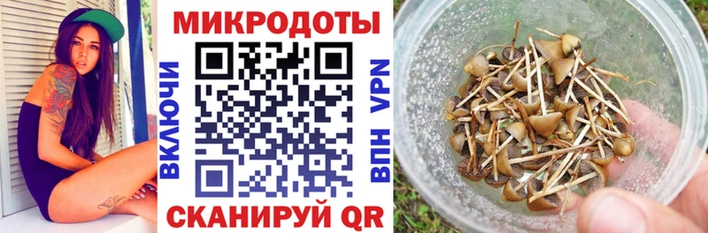 Псилоцибиновые грибы мухоморы Тайшет