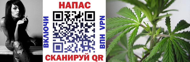 Бошки Шишки LSD WEED  mega как зайти  Тайшет  darknet формула  как найти  